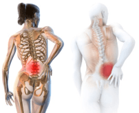 全身の歪みをみる矯正治療