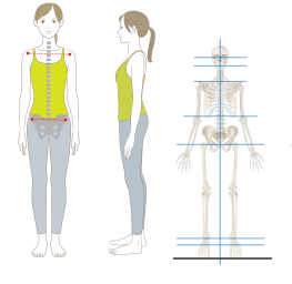 体の歪みがない状態のイメージ