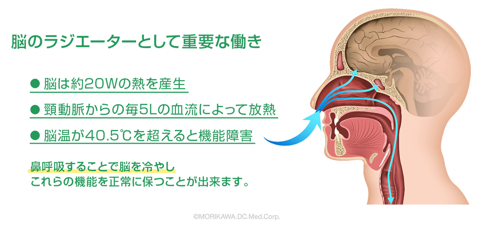 呼吸の大切さ