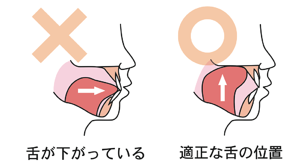 今どこに舌がありますか？