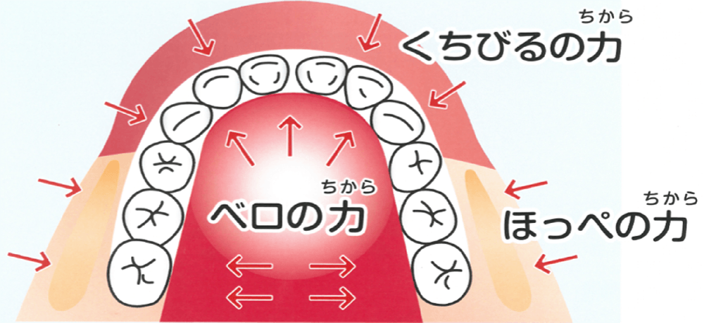 舌で歯並びが悪くなる原因
