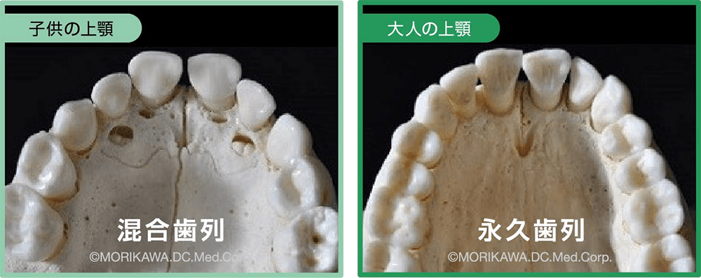 小児と成人の違い