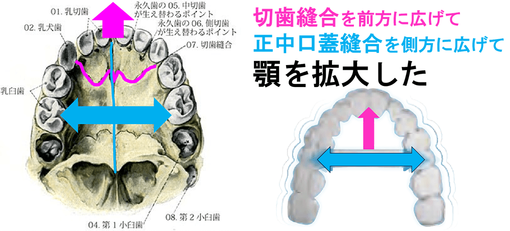 この治療では何をしたのか？？