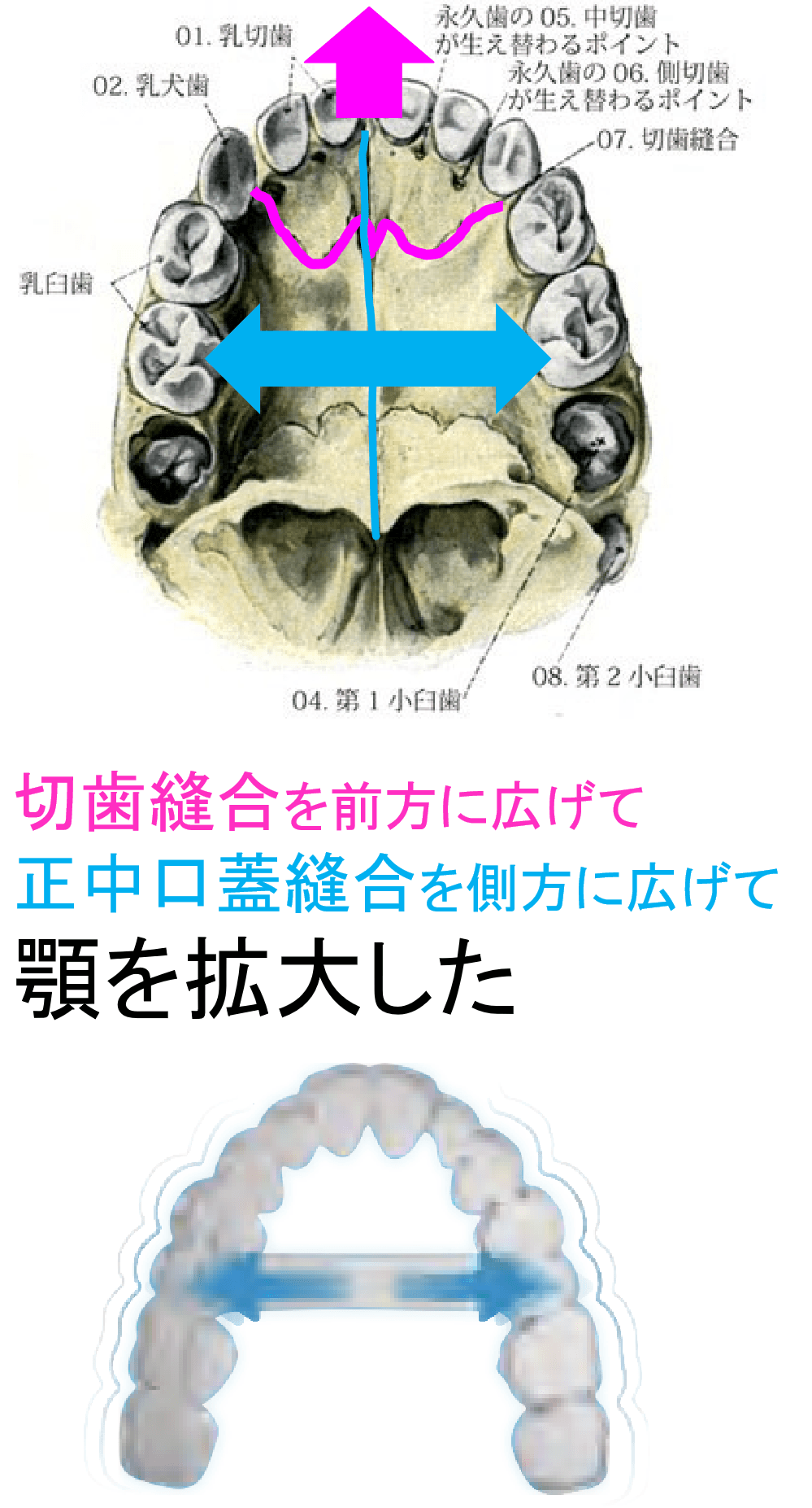この治療では何をしたのか？？